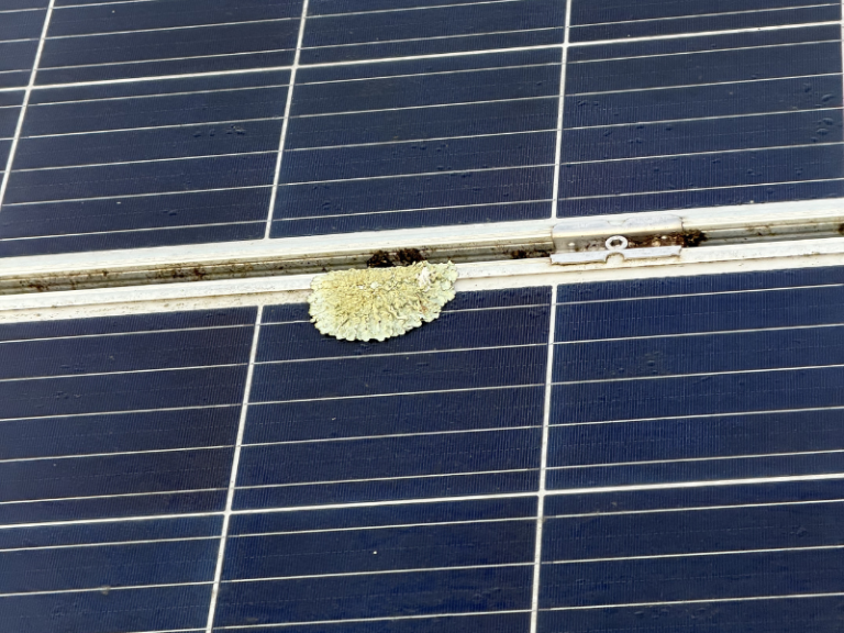 Panneaux photovoltaïques encrassés sur bâtiment agricole en Vendée avant nettoyage