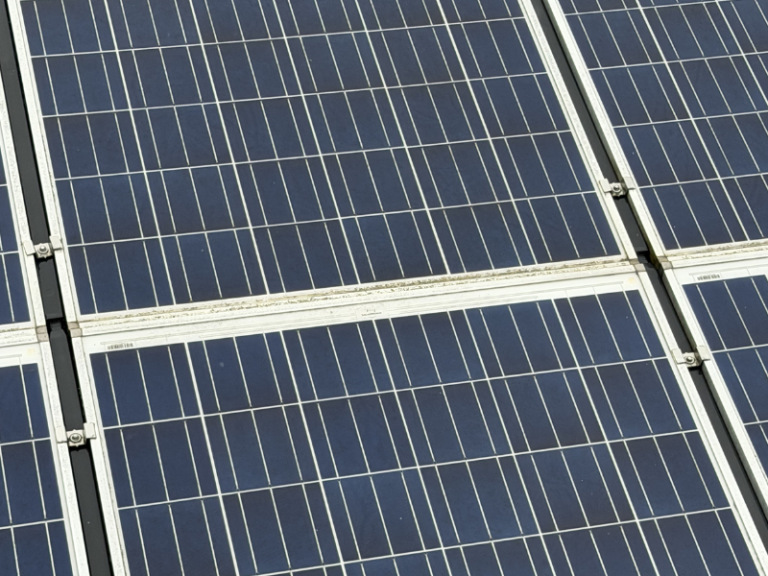 Avant le nettoyage des panneaux solaires à Somloire