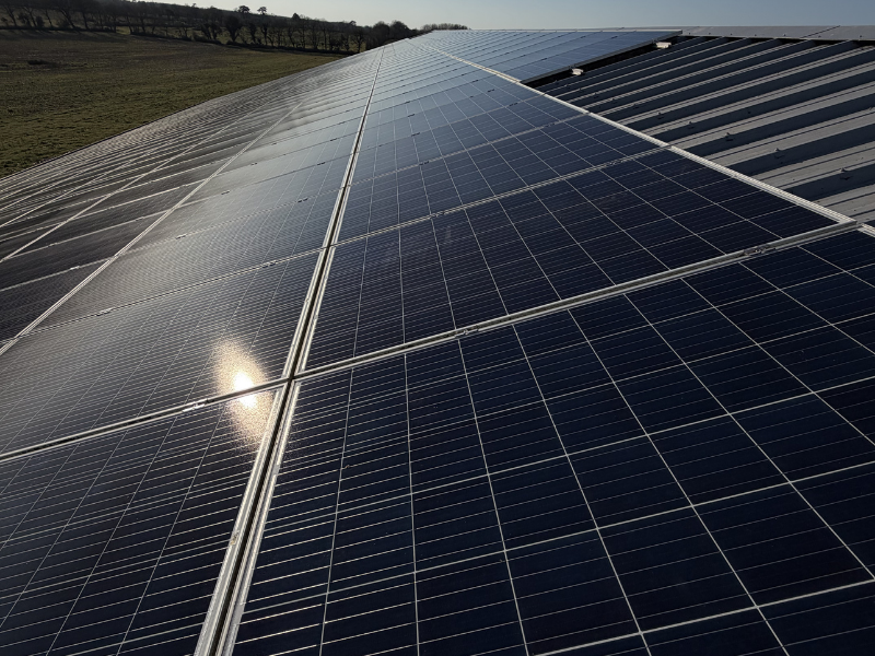 Panneaux solaires nettoyés après intervention professionnelle sur bâtiment agricole