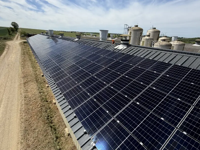 Intervention nettoyage de panneaux photovoltaïques à Montilliers (49)