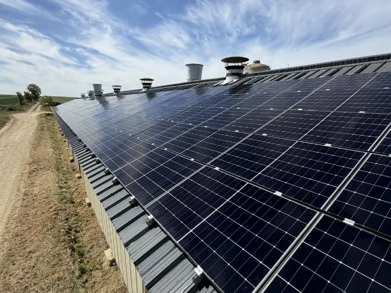 Résultat après nettoyage de panneaux photovoltaïques à Montilliers (49)