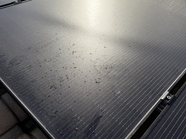 avant le nettoyage panneaux photovoltaïques Treize-Septiers