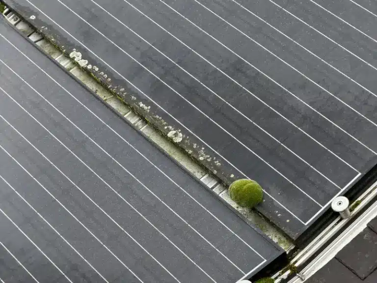 présence mousse panneaux solaires