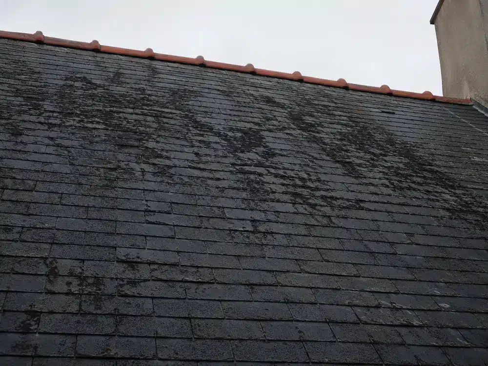 toiture traces noires avant traitement hydrofuge