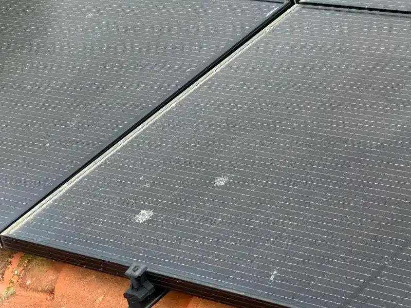 fientes d'oiseau panneaux solaires