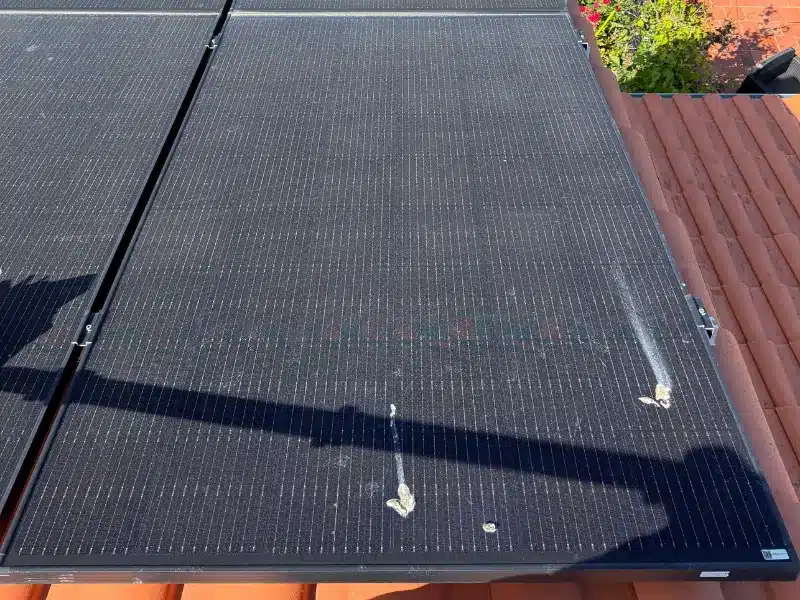 lichen panneaux solaires aizenay